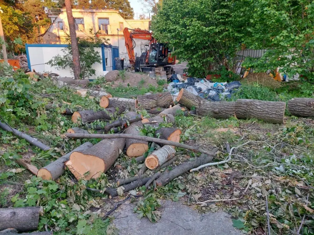 Z terenu wokół "Pałacyku" wycięto ponad 70 drzew / fot. Gazeta Starachowicka