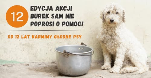 Burek sam nie poprosi o pomoc