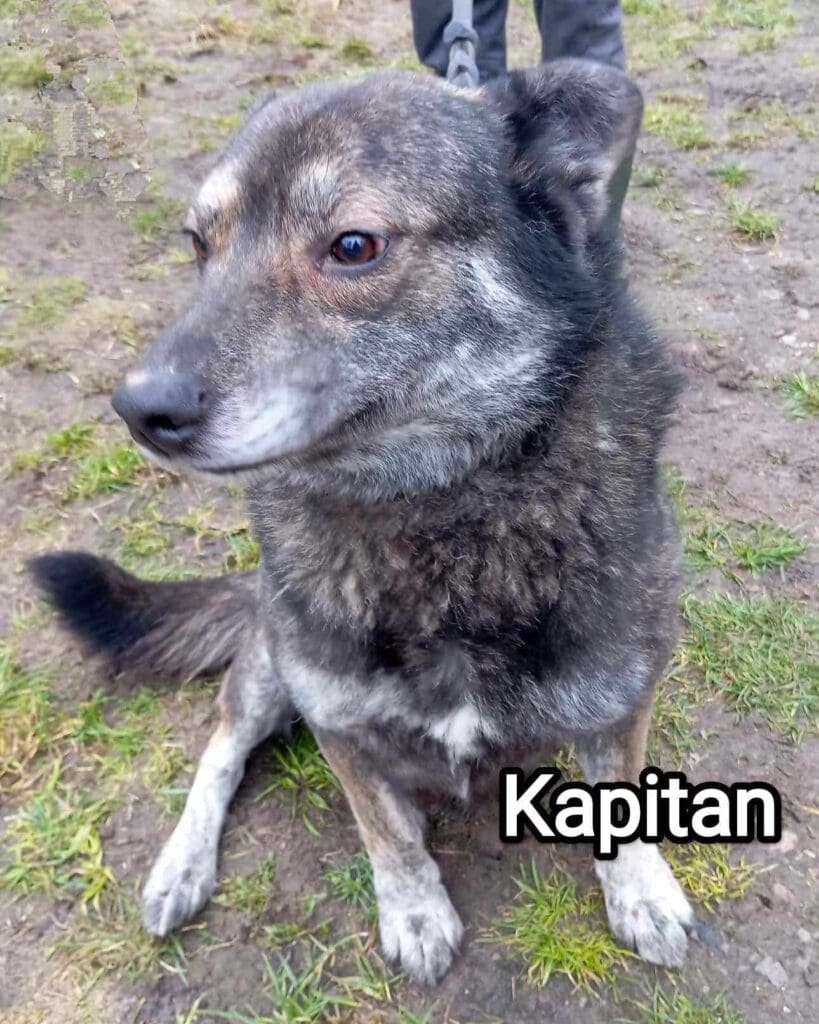Kapitan wciąż czeka na dom