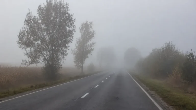 IMGW ostrzega przed gęstą mgłą w województwie świętokrzyskim