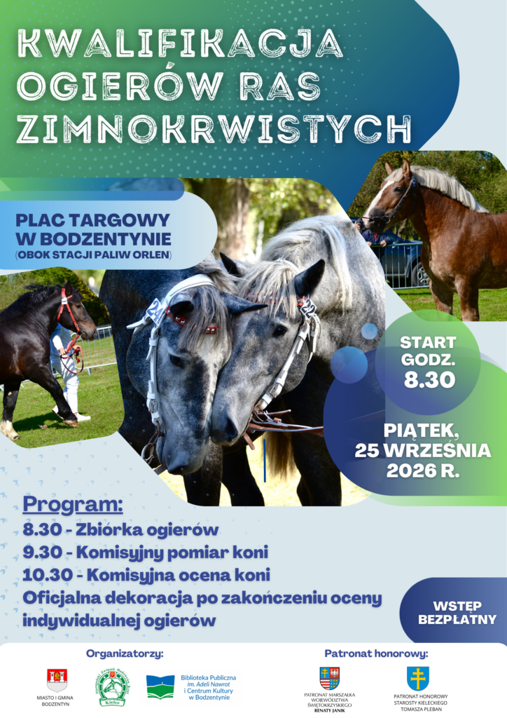 Po latach konie wracają do Bodzentyna. Na targowicy odbędzie się kwalifikacja ogierów zimnokrwistych