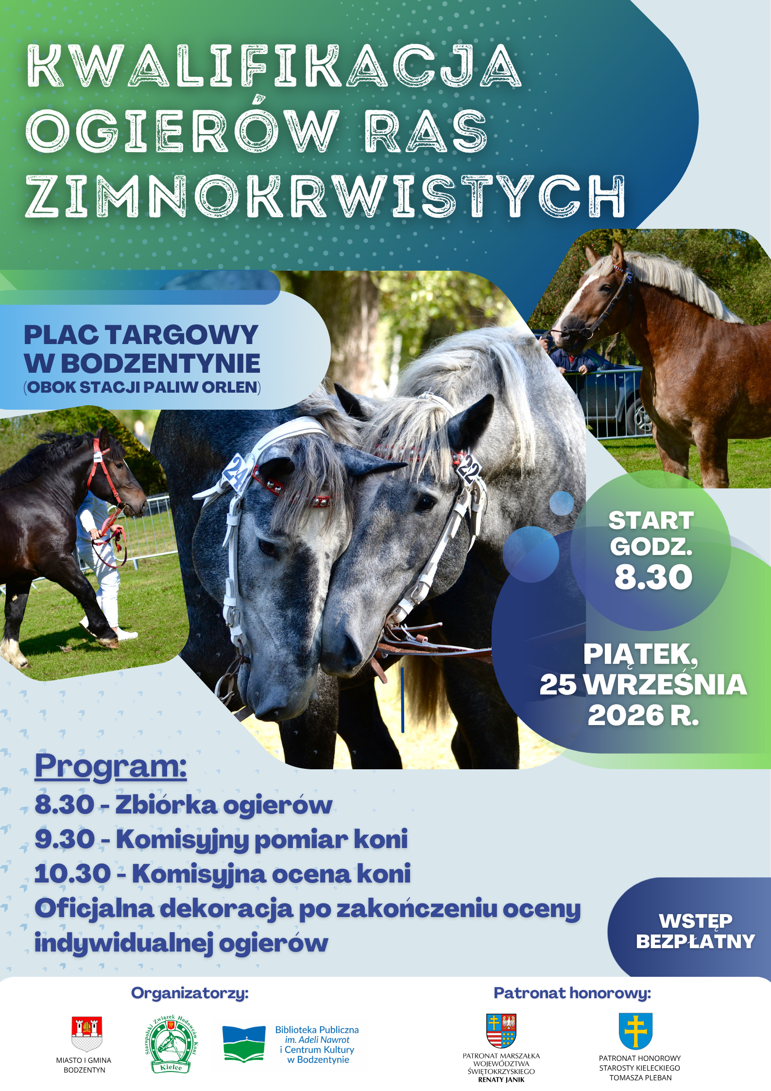 Po latach konie wracają do Bodzentyna. Na targowicy odbędzie się kwalifikacja ogierów zimnokrwistych